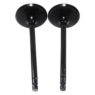 DNJ Engine Components® - Intake Valve