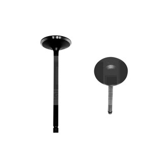 DNJ Engine Components® - Intake Valve