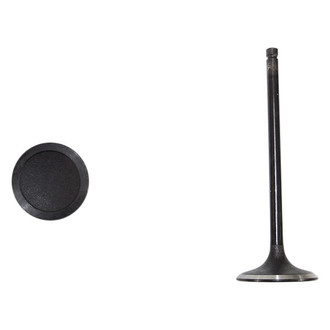 DNJ Engine Components® - Intake Valve