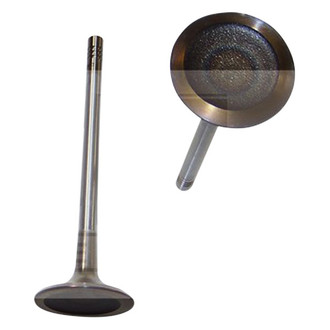 DNJ Engine Components® - Intake Valve