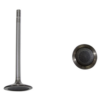DNJ Engine Components® - Intake Valve