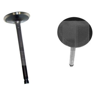 DNJ Engine Components® - Intake Valve