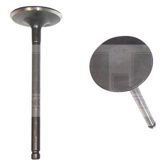 DNJ Engine Components® - Intake Valve