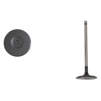 DNJ Engine Components® - Intake Valve