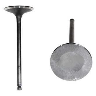 DNJ Engine Components® - Intake Valve