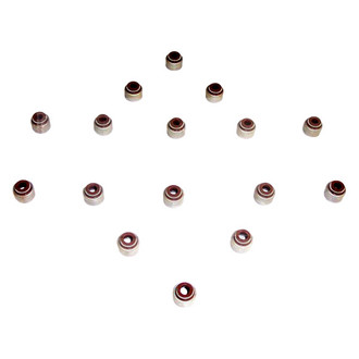 DNJ Engine Components® - Valve Stem Oil Seal Set