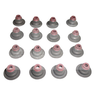 DNJ Engine Components® - Valve Stem Oil Seal Set