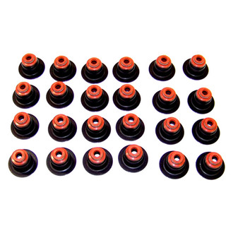 DNJ Engine Components® - Valve Stem Oil Seal Set