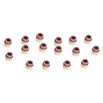 DNJ Engine Components® - Valve Stem Oil Seal Set