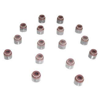 DNJ Engine Components® - Valve Stem Oil Seal Set