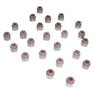 DNJ Engine Components® - Valve Stem Oil Seal Set