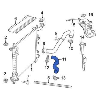 Dodge OE - Lower Radiator Coolant Hose