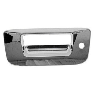 Dorman® - HELP!™ Tailgate Handle Bezel