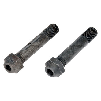 Dorman® - Front Leaf Spring Bolts