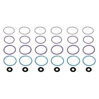 Dorman® - Fuel Injector O-Ring Kit