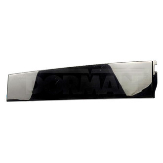 Dorman® - OE Solutions™ Rear Driver Side Door Applique