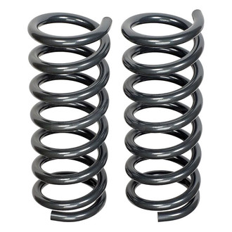 Dorman® - Front Coil Springs