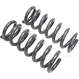 Dorman® - Front Coil Springs