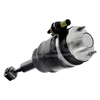 Dorman® - OE Solutions Front Passenger Side Air Strut Assembly