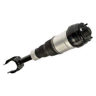 Dorman® - OE Solutions Front Passenger Side Air Strut Assembly