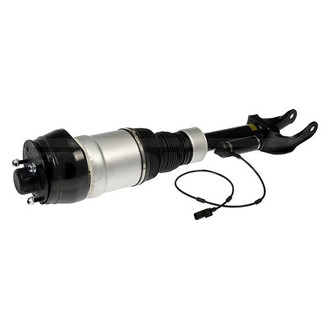 Dorman® - OE Solutions Front Air Strut Assembly