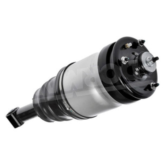 Dorman® - OE Solutions Rear Driver Side Air Strut Assembly