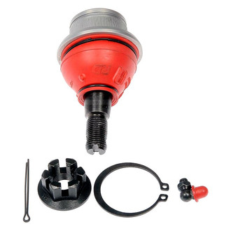 Dorman® - Premium RD™ Front Lower Ball Joint
