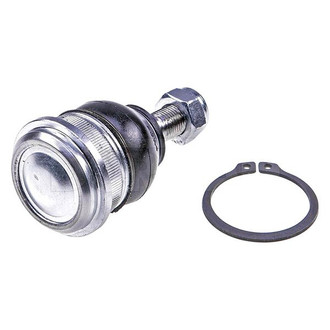 Dorman® - Front Non-Adjustable Lower Taper Ball Joint