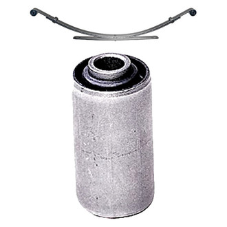 Dorman® - OE Solutions™ Rear Leaf Spring and Bushing Kit