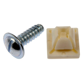 Dorman® - Natural / Zinc-Plated License Plate Fasteners
