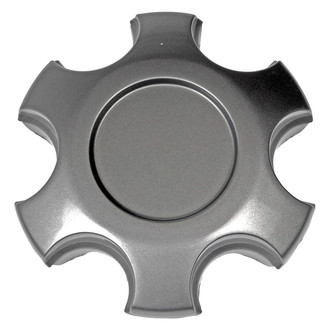 Dorman® - Silver Wheel Center Cap