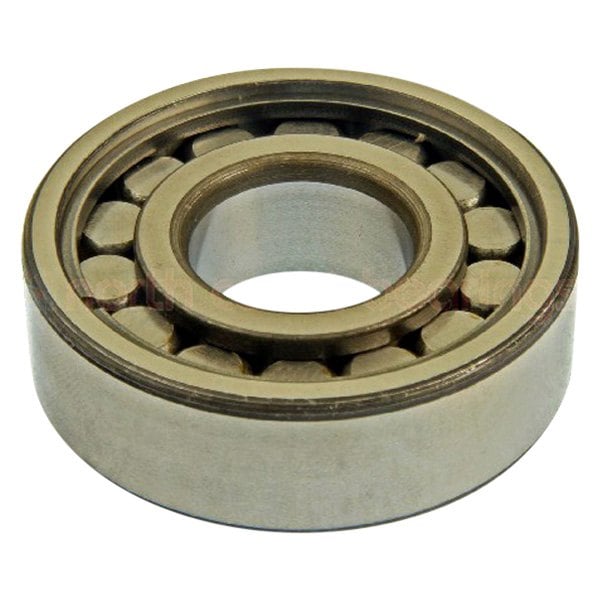 DT Components® - Rear Passenger Side Pocket Bearing