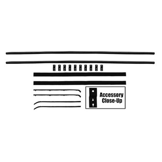 Dynacorn® - Driver and Passenger Side Window Channel Kit