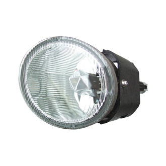 Eagle Eyes® - Driver Side Replacement Fog Light (Standard Line)