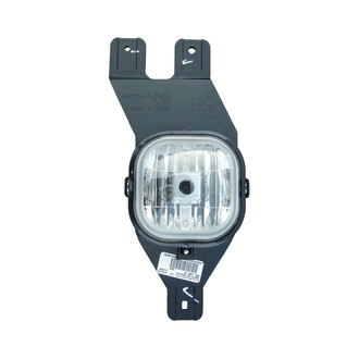 Eagle Eyes® - Driver Side Replacement Fog Light (Standard Line)