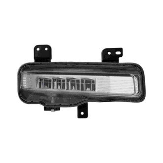 Eagle Eyes® - Passenger Side Replacement Fog Light (Standard Line)