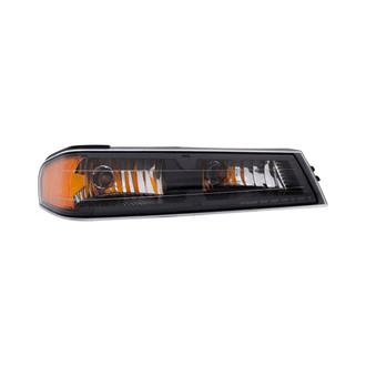 Eagle Eyes® - Passenger Side Replacement Turn Signal/Parking Light (Standard Line)