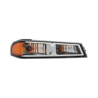 Eagle Eyes® - Passenger Side Replacement Turn Signal/Parking Light (Standard Line)