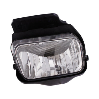 Eagle Eyes® - Driver Side Replacement Fog Light (Standard Line)