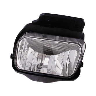 Eagle Eyes® - Passenger Side Replacement Fog Light (Standard Line)