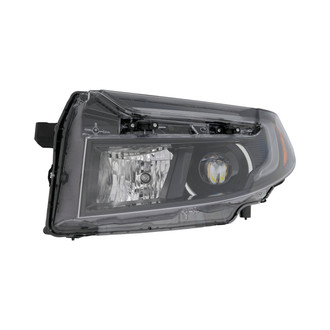 Eagle Eyes® - Driver Side Replacement Headlight (Standard Line)