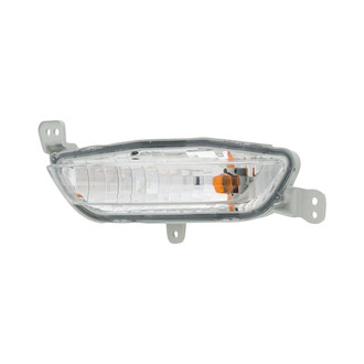 Eagle Eyes® - Driver Side Replacement Turn Signal Light (CAPA Certified)