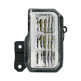 Eagle Eyes® - Driver Side Replacement Fog Light (Standard Line)