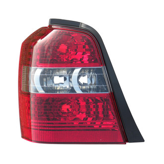 Eagle Eyes® - Driver Side Replacement Tail Light Lens and Housing (Standard Line)
