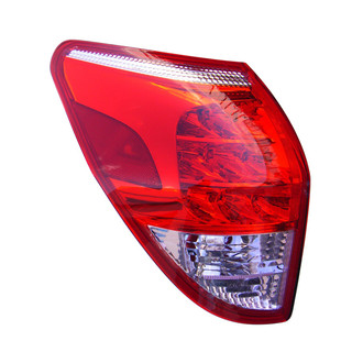 Eagle Eyes® - Driver Side Replacement Tail Light Lens and Housing (Standard Line)