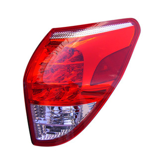 Eagle Eyes® - Passenger Side Replacement Tail Light Lens and Housing (Standard Line)