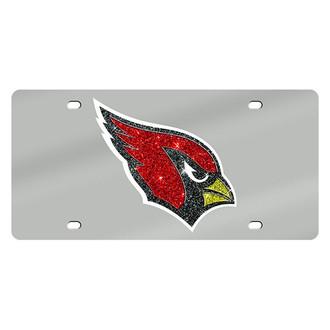 Eurosport Daytona® - License Plate NFL Lazer Tag
