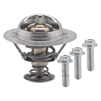 Facet® - Engine Coolant Thermostat with Seal Ring