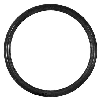 Facet® - Engine Coolant Thermostat Seal