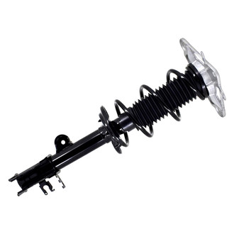 FCS® - Rear Passenger Side Complete Strut Assembly